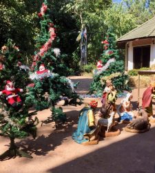 nwsbrf-2020.12-kerst-03
